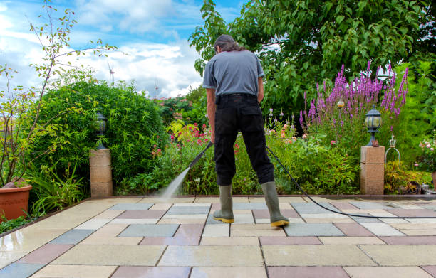 Best Soft Washing for Delicate Surfaces in Hauppauge, NY